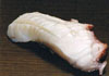 sushi photo tako